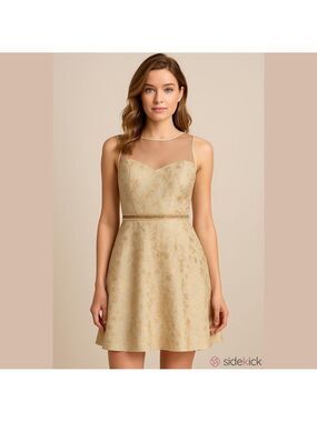 Ryu Floral Lace A-line Dress in Mint and Champagne and Gold